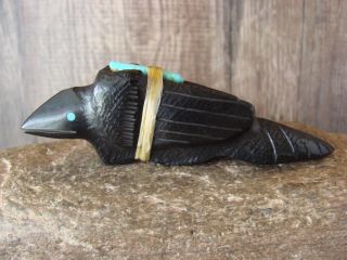 Zuni Indian Hand Carved Jet Raven Fetish By Herbert Halate Native America Ff474