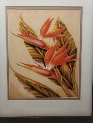 Vintage Hawaiian Ted Mundorff Bird of Paradise Framed and Matted Print 2