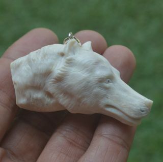 Wolf Head Carving 59x30mm Pendant P3330 W/ Silver In Antler Hand Carved