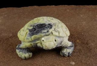 Zmt Zuni Tortoise Fetish Carving By Ben Kaamasee - Serpentine Stone