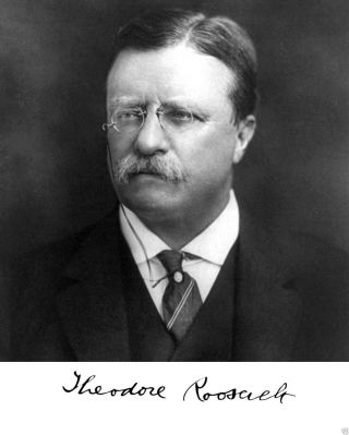 President Theodore Teddy Roosevelt Autograph Portrait 8 X 10 Photo Picture G11