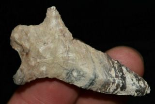 2 1/8 " Vandenberg Point,  Found In Wyoming Authentic Arrowhead B58