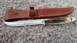 Case Xx Razor Edge 516 - 5 Ssp,  Stag Handle - Fixed Blade Knife,  Leather Sheath