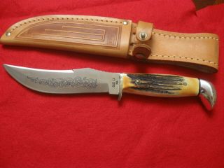 Case Xx Usa 523 - 5 Stag Fixed Blade 1977 Blue Scroll Stainless Steel Minty