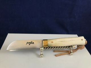 Poglia Handmade Pocket Knife Carbon Steel Blade Bone Handle Solid Brass Details