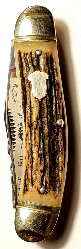 1st Gen Bull Dog Brand Stag Sow Belly Knife 1984 Etched 3 Blade