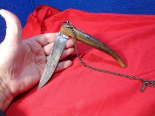 Early Spanish Folding Knife Navaja Horn Handle.  Bx - A