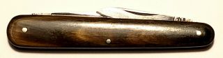 Vintage G.  Ibberson & co Sheffield,  England Pocket Knife Horn sides - Very Rare 2