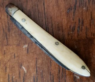Rare Antique Heller Brothers Miniature Folding Pocket Knife W/bone Handle