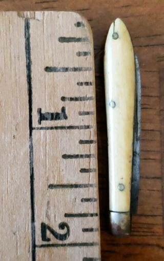 RARE Antique Heller Brothers Miniature Folding Pocket Knife w/Bone Handle 3