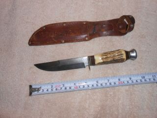 Vintage Wildcat Solingen Germany 24x Fixed Blade Stag Hunting Knife & Sheath