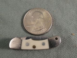 Miniature Knife,  Custom Made With White Scales,  1 1/2 ",  Necklace,  Bracelet,  Fob