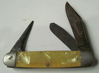 Rare Vintage Wards Usa 3 Blade Celluloid Handle Folding Pocket Knife 3 - 3/4 "