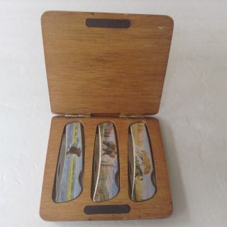 3 Collectors Knives In Wood Box - Bear,  Mountain Lion & Eagle Stainless