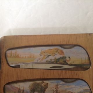 3 Collectors Knives In Wood Box - Bear,  Mountain Lion & Eagle Stainless 2