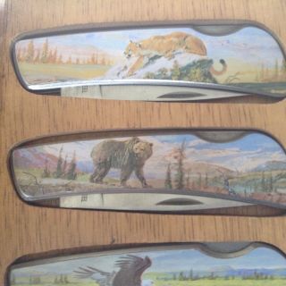 3 Collectors Knives In Wood Box - Bear,  Mountain Lion & Eagle Stainless 3